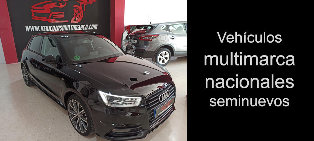 animacion-1.jpg www.vehiculosmultimarca.carweb.es